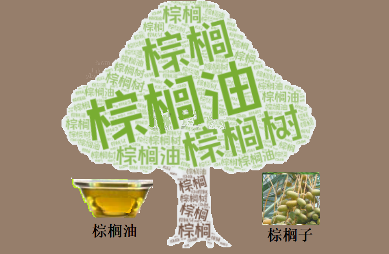 exness官网:油脂市场录得三周首个周涨幅：能源溢价与汇率走弱支撑棕榈油价格
